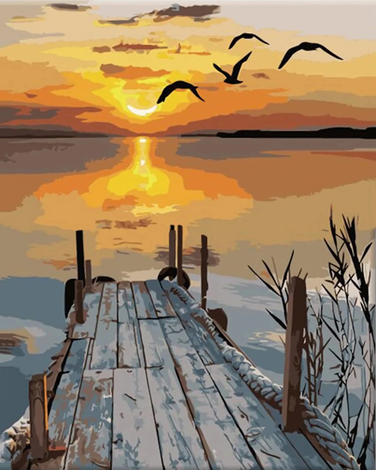 Paint by Number Kit – Schilder je eigen kunstwerk